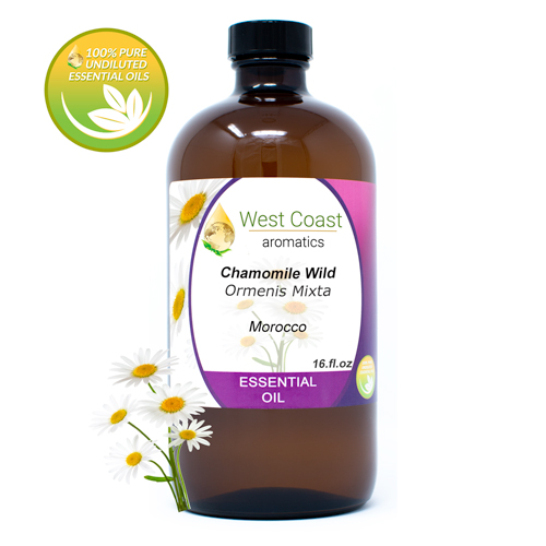 Essential-Oil_Chamomile-Wild_Morocco_16oz.jpg